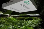 AiroCLean 420 Airo Home /Hobby Grow Air Purifier