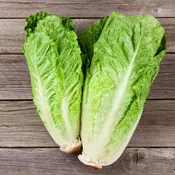 Clean and Fresh Green Romaine Lettuce (2 Pack)