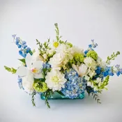 Azure Eleganace