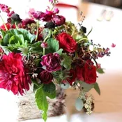 Magical Blooms Grower's Special (Free Local Delivery!)