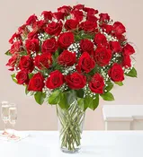 4 Dozen Red Rose Vase