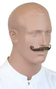 Ambassador Style Mustache - Brown