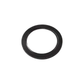 Ibis Logo Hub Seal