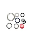 Brose bearing overhaul kit Part No PLB20701