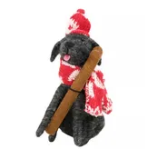 Ski Patrol Dog Critter Ornament