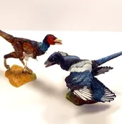 Eastern 2-pack- Microraptor g.and Mononykus o. – 1/6th scale action figure