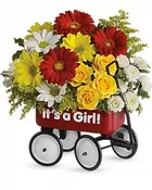 Baby's Wow Wagon GIRL