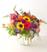Autumn Abundance