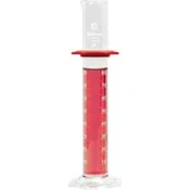 100 mL Graduated Cylinder