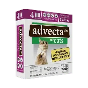Advecta Plus Flea Protection for Cats