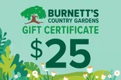 $25 Gift Certificate $25