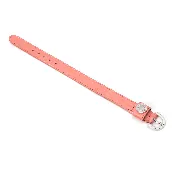 Vogel Rainbow Bracelet
