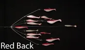 6 Arm 6" Shad Umbrella Rig