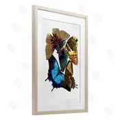 1x | Victorian Naturalist Butterflies Wall Art