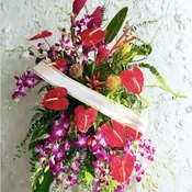 Island Serenity Spray