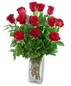 CLASSIC DOZEN RED ROSES