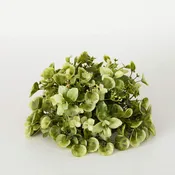 Eucalyptus & Mint Leaf Orb