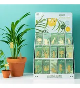 HOUSEPLANT DECOR