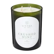 Linnea's Lights - Crushed Mint Two-Wick Candle