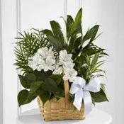 The FTD Peace & Serenity Dishgarden
