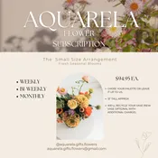 Subscribe to Aquarela Weekly, Monthy or Bi-Monthly