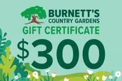 $300 Gift Certficate $300