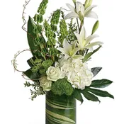 Botanical Beauty