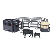 12-Piece Ranch Set