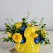 Baby Ducky