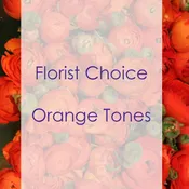 Florist Choice Orange Hues