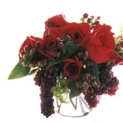 Champagne Rose