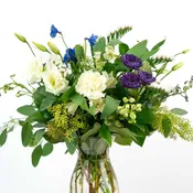 Our Birthday Collection: Coolest Birthday Wishes [Deluxe Blooms]