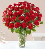 4 Dozen Roses