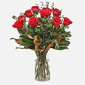 1-Dozen Elegant Roses