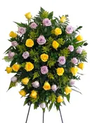 C1541 - Standing Spray