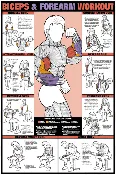 Algra Co-Ed Series Bicep and Forearm Workout Chart