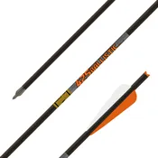 Ballistic Crossbow Bolts .300