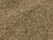 Cardamom