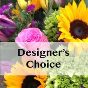 Designer's choice