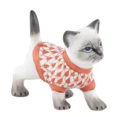 Sweater Kitty