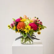 Late Summer Cube Arrangement