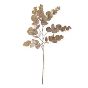 24" Brown Eucalyptus Stem