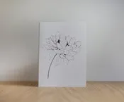 Hidden Peony