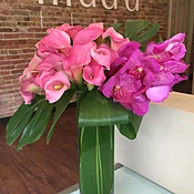 Pink Calla Lilies and Vanda Orchids
