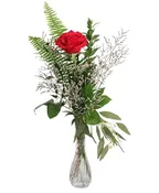 SINGLE RED BUD VASE
