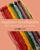 beginner needlepoint — maypop