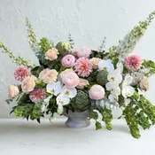 Blush Botanical