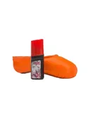 Fabric Pointe Shoe Paint