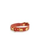 Small Traditional Dog Collar