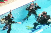 Open Water Diver Course: Referral, PADI E-Learning